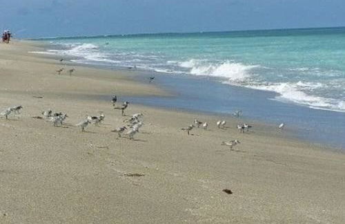 Excellent beach front community, golf course, tennis, sunny weather year round! - Foto 44