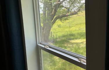 Mountain View Cottage - Foto 10