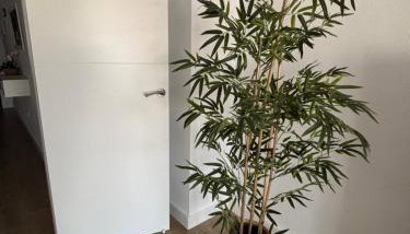 Trimar - Apartamento céntrico con garaje - Foto 5