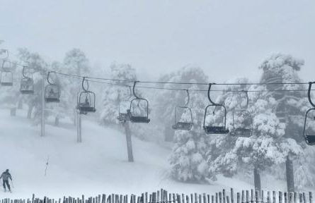 La Casita del Escorial -Nueva reforma Tranquilidad y jardín privado - Foto 39