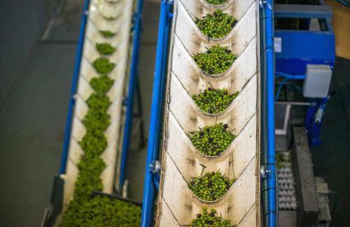 Acushla Golden House Douro - Foto 50