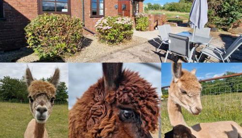 Swallows Nest Guest House - With Hot Tub - Foto 1