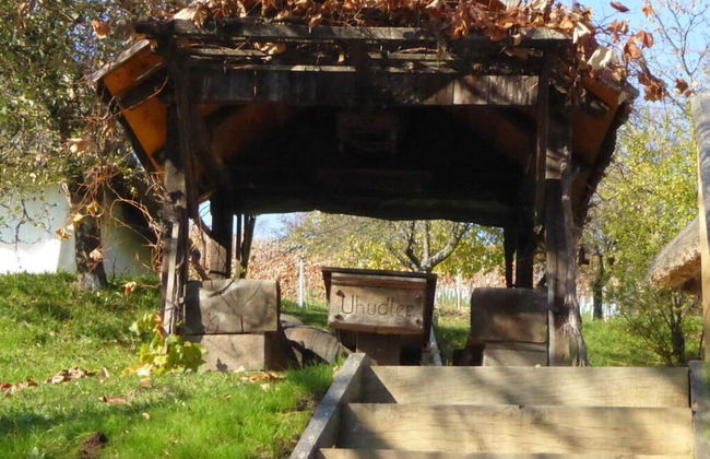 Kellerstockl am Hamerlberg/strem - Foto 31