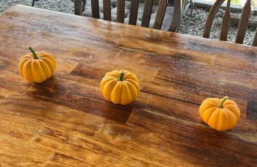 Cozy Cabin - Foto 96