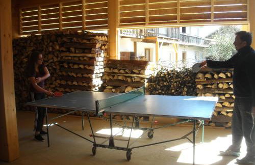 Ferienhof Biber - Foto 18