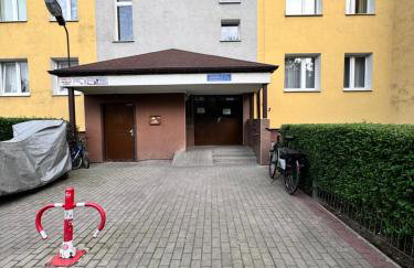 Forest Apart V - Foto 13