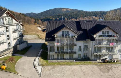 SleepWell Apartments Czarna Góra - Foto 31