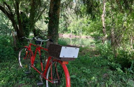 Casa Rural Betraunea - Foto 9