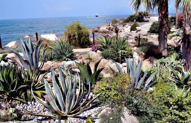 Rododafni Beach Apartments - Foto 61