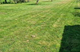 îlot cosy and SPA -PROCHE ZOO BEAUVAL - Foto 26