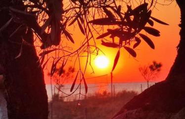 Villa Blue Flag - Foto 34