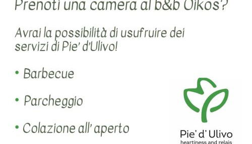 Oikos Apartment - Photo 3