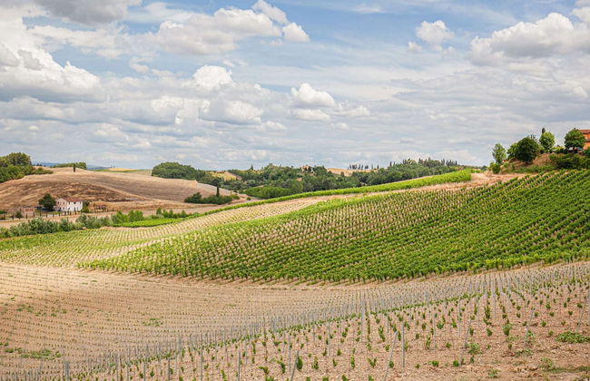 Montaione Harmony: Lodging - Foto 17