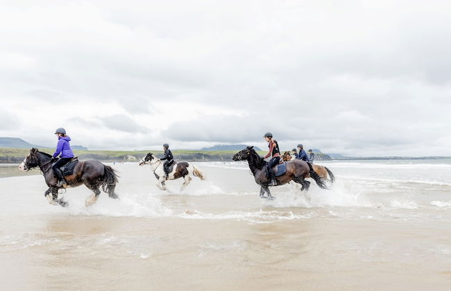Portbeg Holiday Homes at Donegal Bay - Foto 33