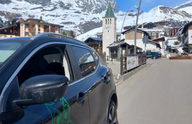 The Green Owl - Foto 26