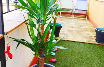 XOXO - Encina - Foto 40