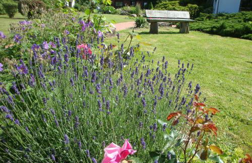 Gutspark Seeblick - Foto 13