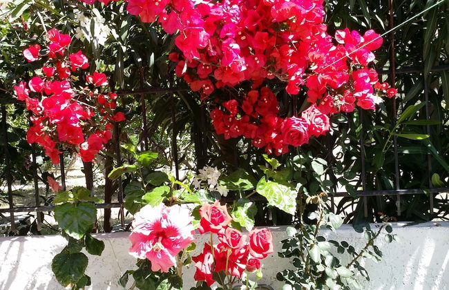 Beautiful Cottage in S West Crete Near the sea - Foto 7