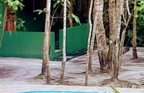 CHaLéS GuiGó, Refugio em meio a natureza - Photo 2