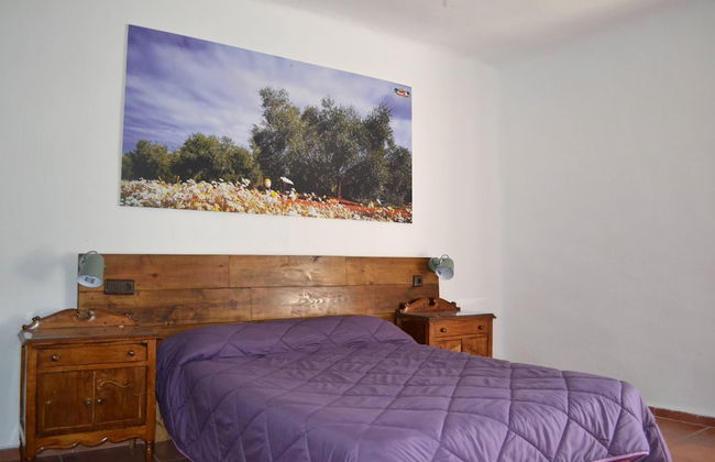 Cortijo Vizconde - Photo 6