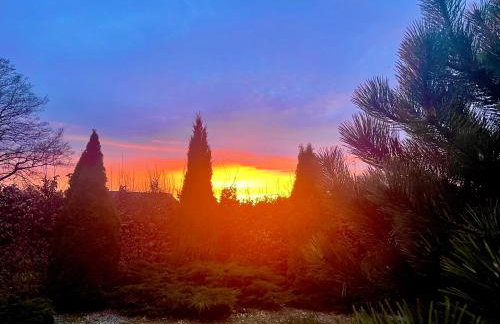 Willa przy lesie - Foto 31