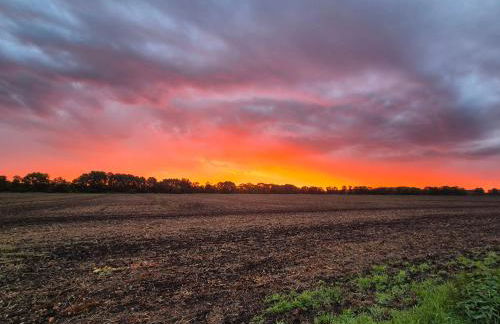 Haus Evelynchen auf Rädern Deutschhof - Photo 16