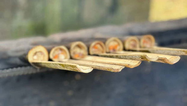 Tour privado por las terrazas de arroz - Foto 5