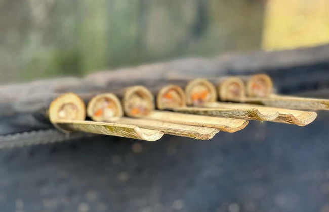 Tour privado por las terrazas de arroz - Foto 5