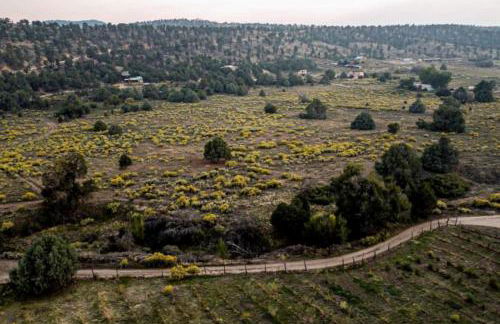 Studio-Style Log Cabin near Carson National Forest, New Mexico - Foto 50