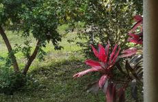 RECANTO DO SABIÁ - Foto 31