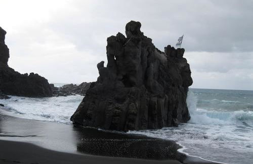 Green Cactus cosy Loft, Wifi & Gym - Foto 30