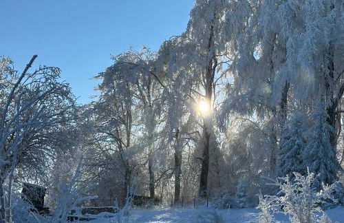 Berghaus zum Hirsch - Foto 8