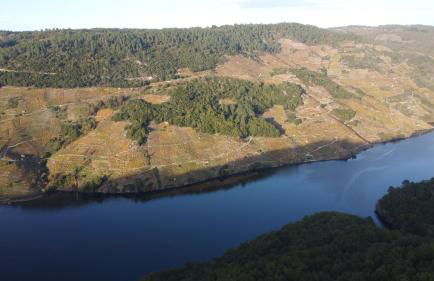 Casa turística Lirio - Foto 29