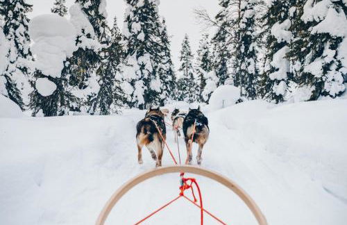 Cascade Village 301 Near Purgatory - North Star - in Durango CO - Foto 58