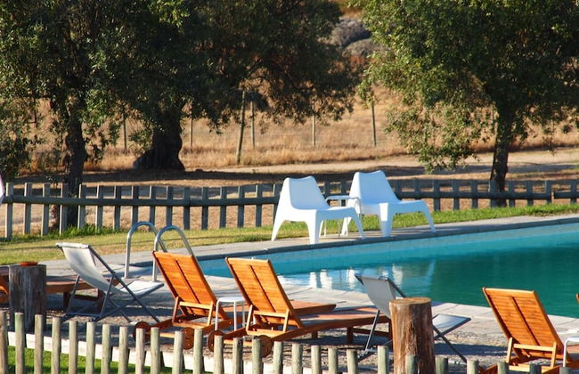 Quinta dos Ribeiros - Photo 51