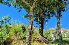 Casas Cor de Rosa - Foto 20