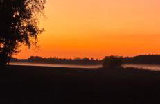 Waldpension Gussow - Foto 46