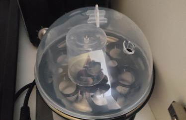 Haus Kraus - Foto 60