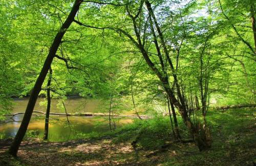 Leśniczówka Świt Gabriela Pieczka - Foto 42