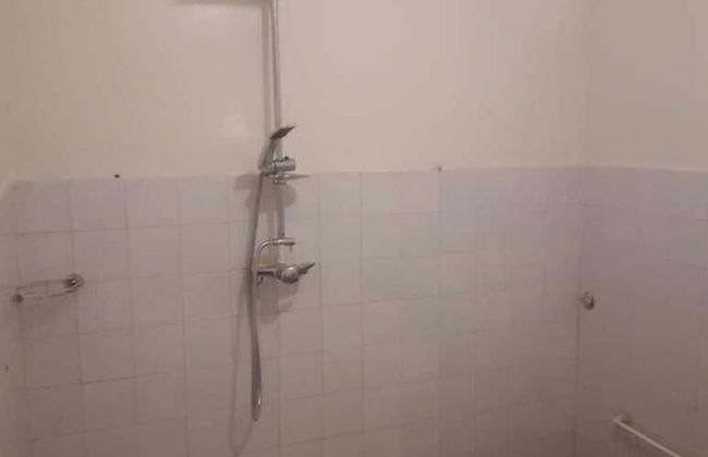 Paloma Pied Sur Sable - Foto 5