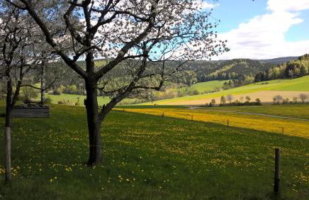 Ferienwohnungen Weißflog - Foto 45