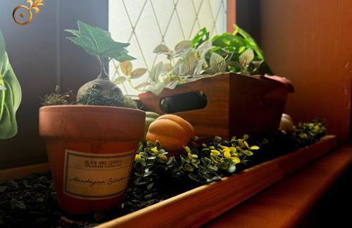 Order of Flamel - Foto 18