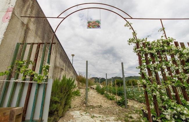 Villa Salemi With Pool - Photo 29
