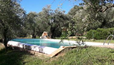 Agriturismo San Pietro - Foto 3, Garden