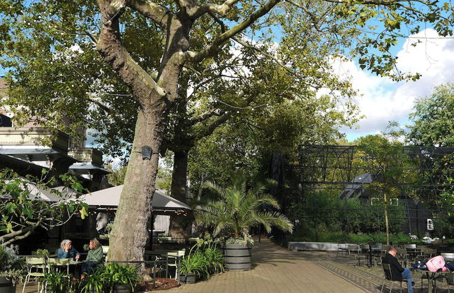 De Jonker Urban Studio's & Suites - Foto 73