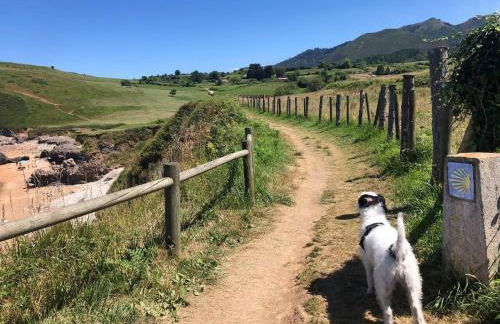 La Casina de Lastres 1 - Foto 24