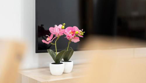 Espacioso y bien equipado apartamento cerca de la playa - Foto 5