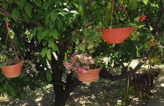 Apartments Mare - Photo 59