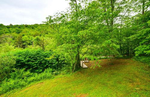 Mtn-View Deck and Grill Creekside Catskills Cabin! - Foto 23