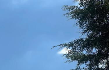 Paraíso no Ninho - Foto 33